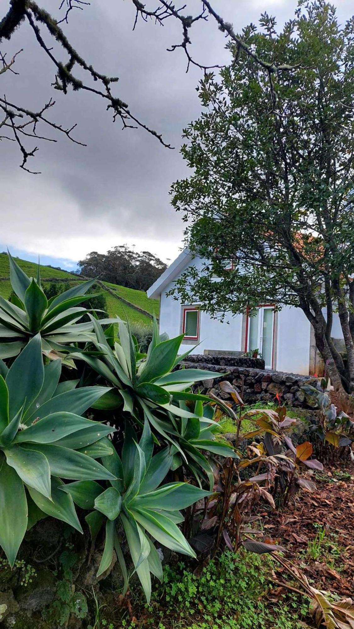 Casa De Campo Franco Da Serra Angra do Heroísmo Exteriör bild