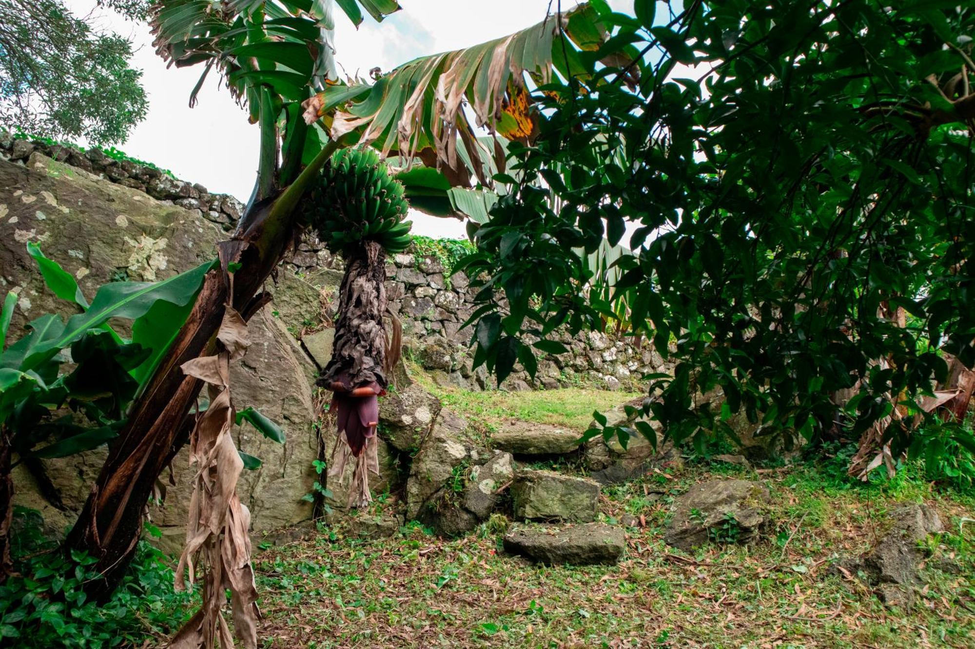 Casa De Campo Franco Da Serra Angra do Heroísmo Exteriör bild